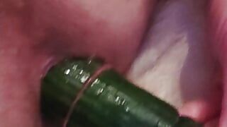 Long cucumber ass fuck