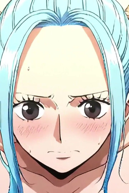 One Piece Vivi(9) Hen