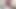 POV Giant Vore Compilation PREVIEW