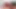Latest live sex show on Stripchat, Gigi and Dave, shemale and man couple, POV, behind the scene, webcam sex, 30.03.2025 ep1