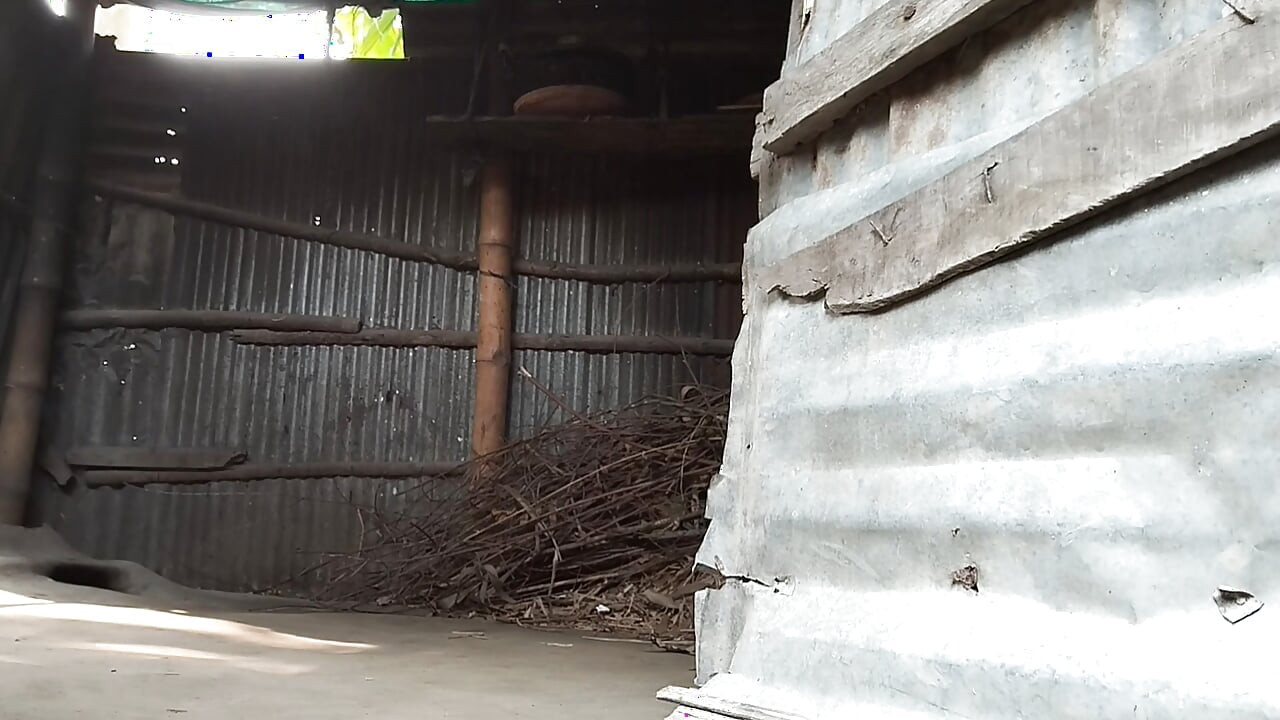 Desi village girl outdoor sex videos, Indian desi school girl dog style sex videos, desi sex videos