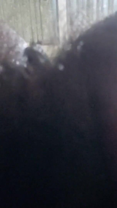 Natural Hairy Beauty - Authentic Amateur POV with Real Unfiltered Look | Clip 1