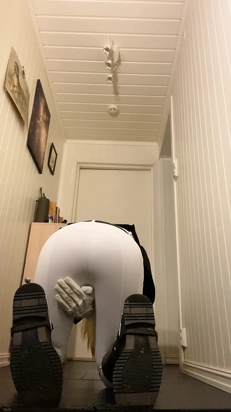 Redo för ridsport