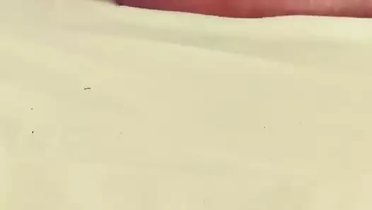 1 Fiş