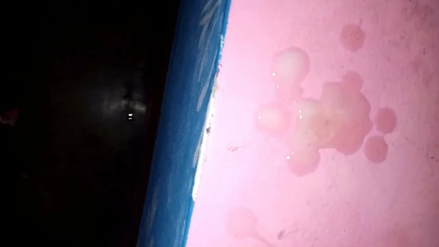 desi land cuming out