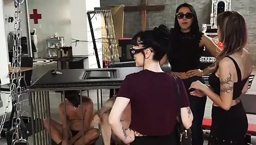 Drei domina-mädchen wollen ihre sklaven bestrafen