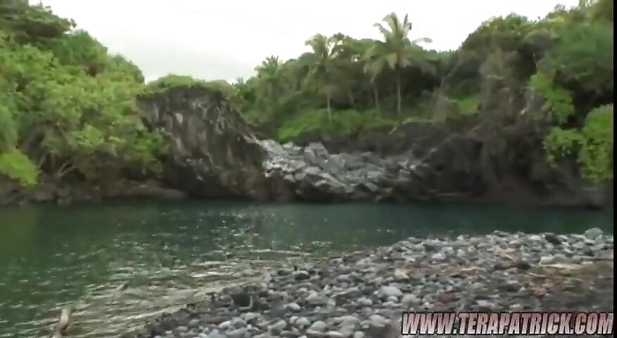 泰拉迪丝岛 2：场景 6 特拉帕特里克
