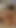 Must-share moment from "Blondehottiek Stripchat naked pussy play with dildo live show"