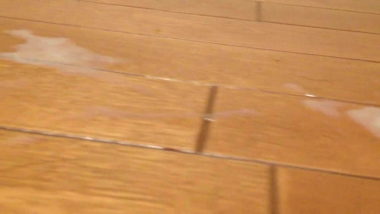 Cumshot