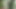 ジャングルの細い少女