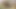 Amazonギフト証明書