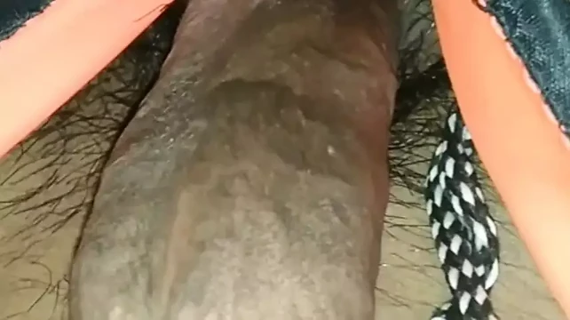 my dick