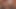 Adam Russo, Jack Andy, Cazden Hunter und Zario Travezz Teil 2