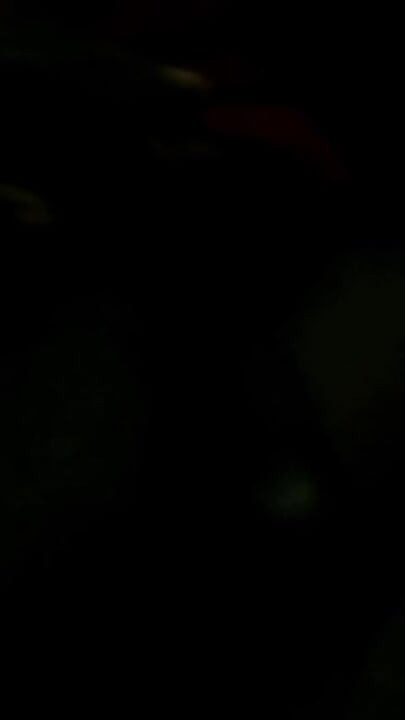 Night ejaculation