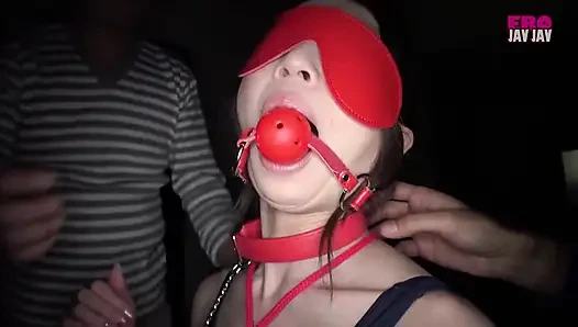 Desire sammlung ryo.r eine reife Frau mit einem Geschmacker, intensiven Sensationen -teil 3