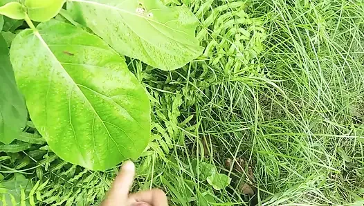 Doğal bahçede büyük yarak boşalması, açık havada boşalma