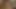 Caprice ve kari içinde bir güzel lezbiyen sahne tarafından sapphic erotica