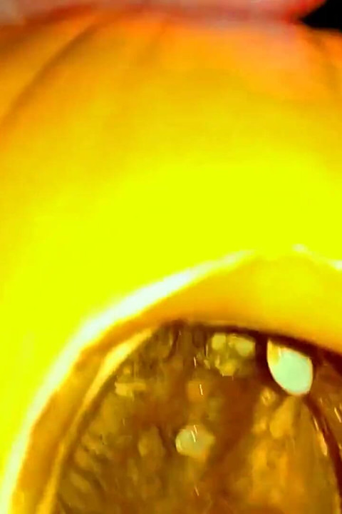 Twink Is Fucking a Pumpkin and Eating Own Creampie in the Garden