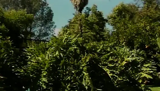 Büyük memeli sarışın orta yaşlı seksi kadın arka bahçede yarağa biniyor