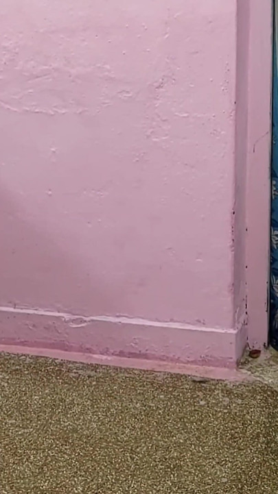 Eu adormedi minha madrasta enquanto ela limpava a casa