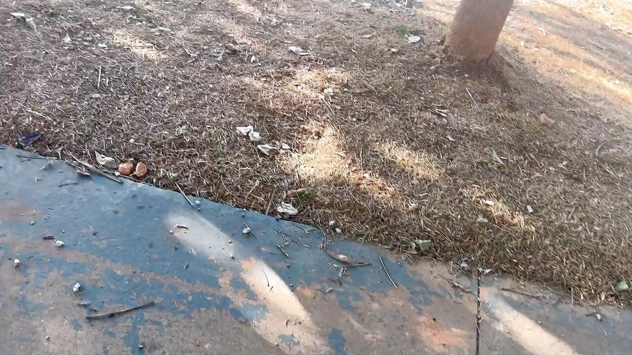 I Take My Wife To The Park To Show Off