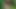 Par se s desi djevojkom u seksu s Indijkom
