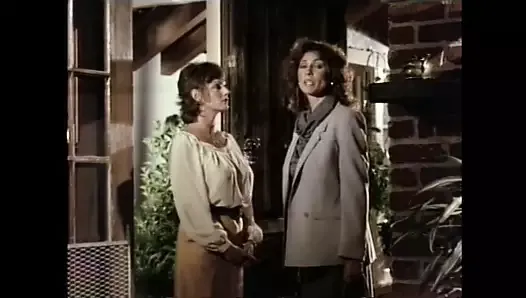 Privado professor (1983) - kay parker e muitos mais - editado