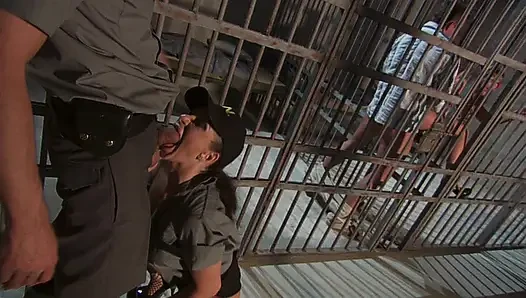 Ada Ateşi açık Havada Amcık Yalıyor Ve Emiyor