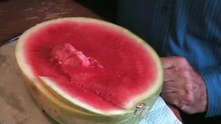 Como comer uma melancia