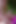 森の中でアナルファックは大声でうめき声と叫び声があります