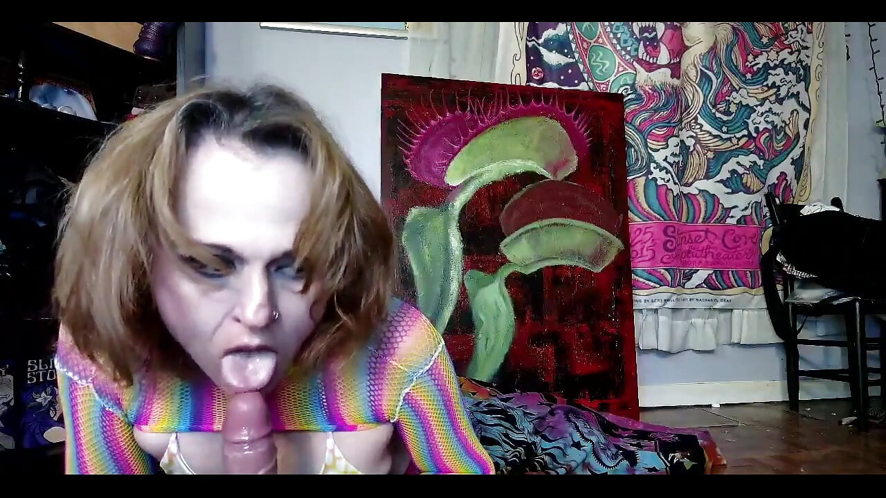 Vamos pegar essa gatinha ronronando! Miau!