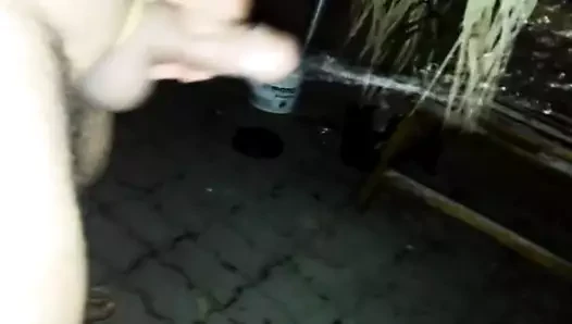 Pisi