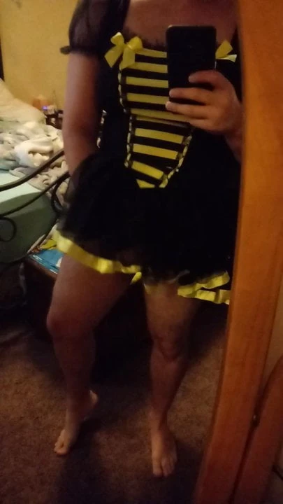 Sexy Little Cross-Dresser Bee