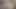 Very Small Teenager in the Forest Sucks Me and I Cum Inside Her Anal