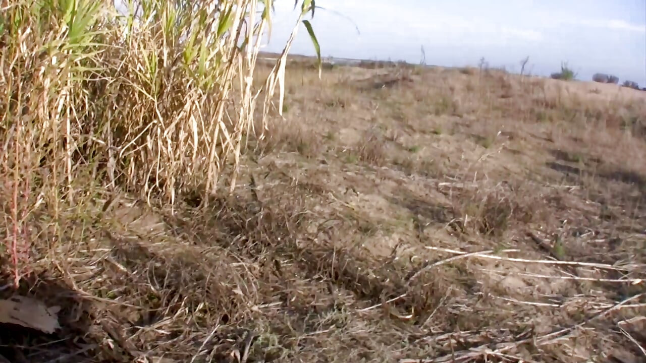 Pienet tissit ruskeaverikkö vie kaiken