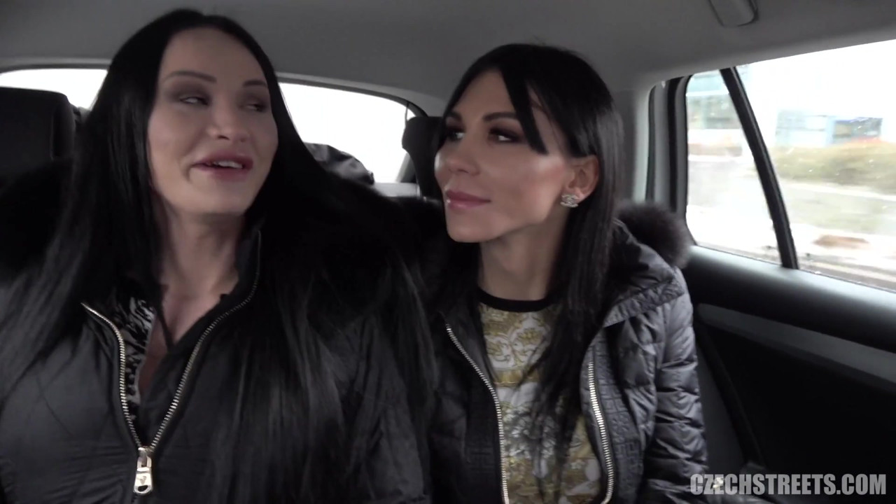 チェコの街 - ディックスとひよこ