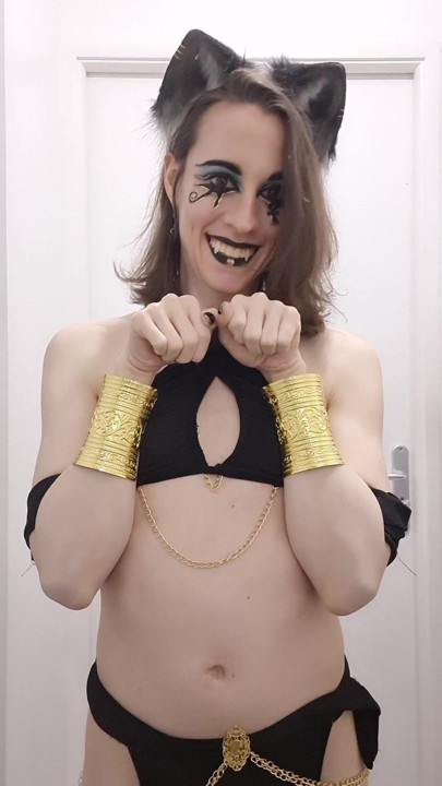 gato escravo