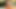 Stepson Caught Stepdad Jerking off on Phone Leaked Celebrity Sex Tape