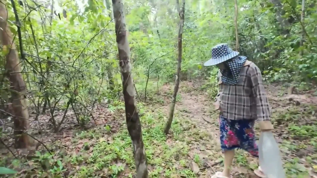 Thai Teenager Walks around Picking Mushrooms and Gets Fucked in the Pussy. Thai Audio