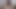 Lovely Rosse 2019-04-30