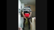 Pregled videozapisa