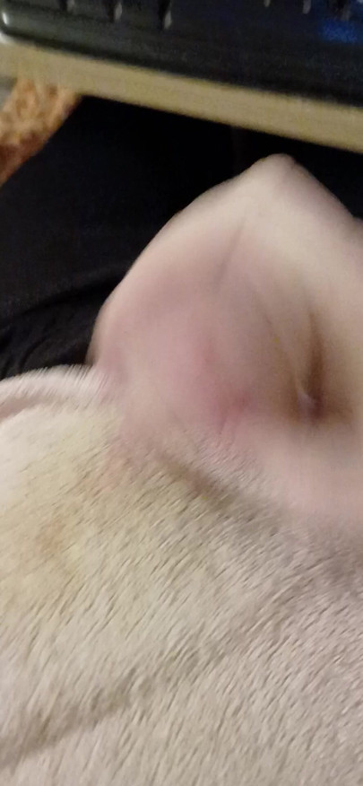 quick cumshot i made as been awhile since doing cumshot vid