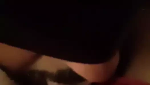 kedi yalama