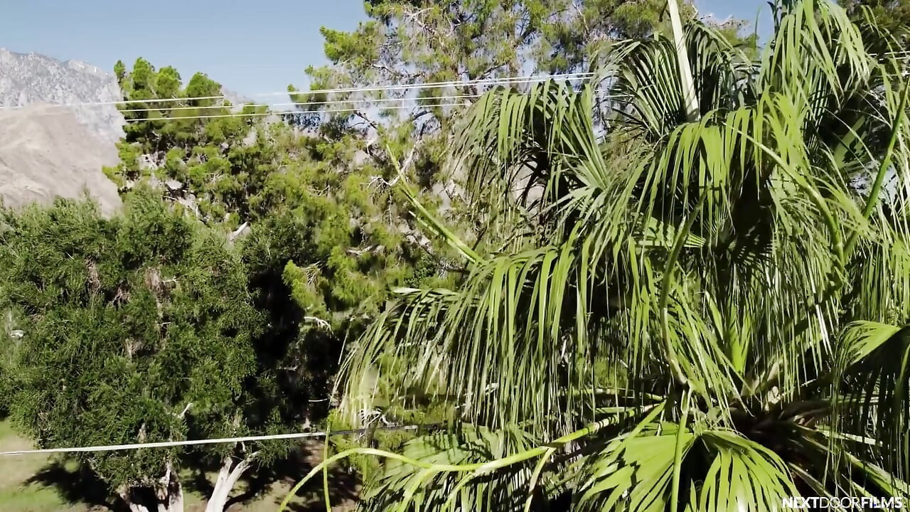 Asgmax the Goldenrod Resort - Episodio 2