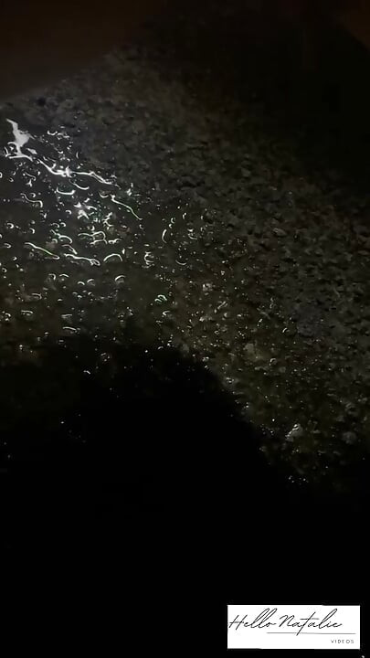 Den stora videon