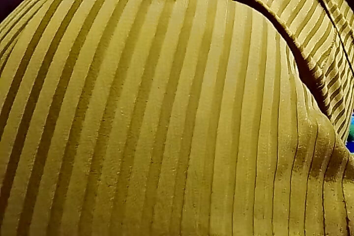 Sladwitting Nittyは楽しんでいます