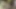 Kızıl saçlı sürtük ile oral seks