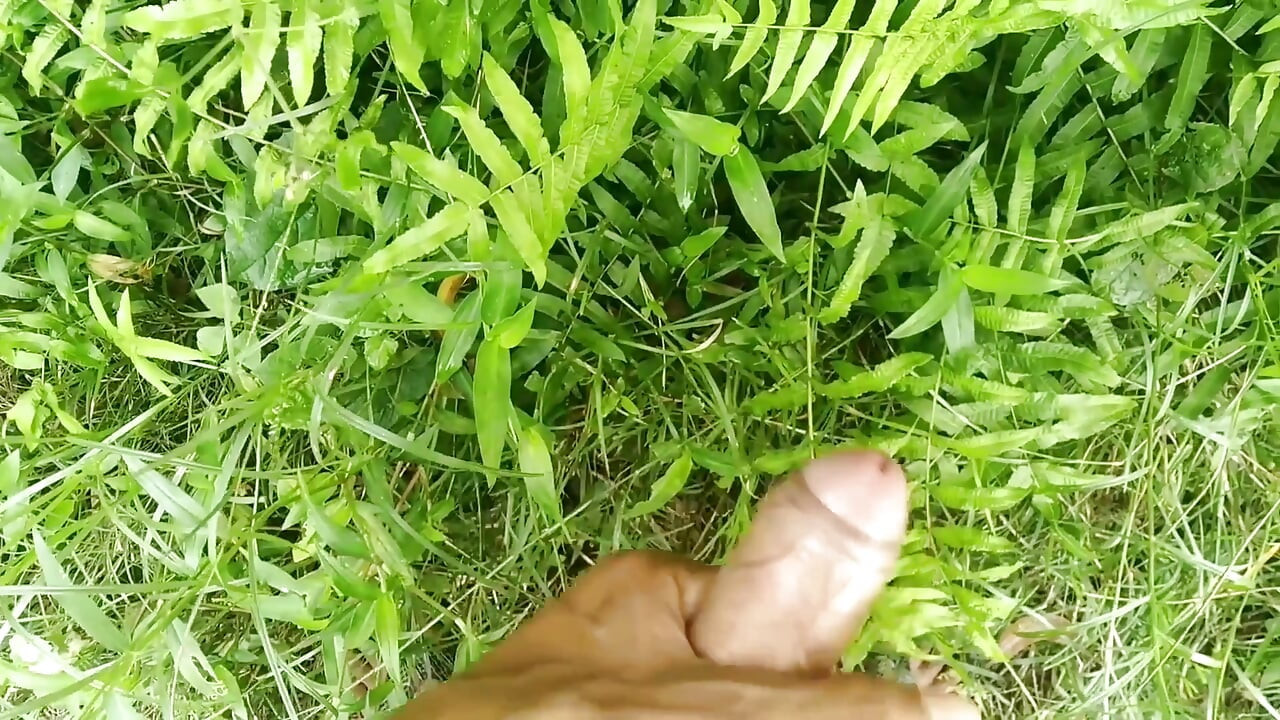 Velký penis honění v krásné zahradě