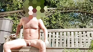 Sunbathing Nude in a Garden on a Bench