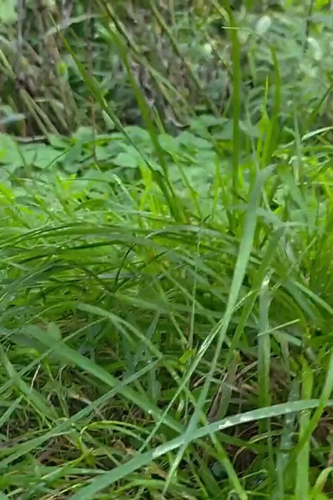 He Films Me!! Pee Under Observation